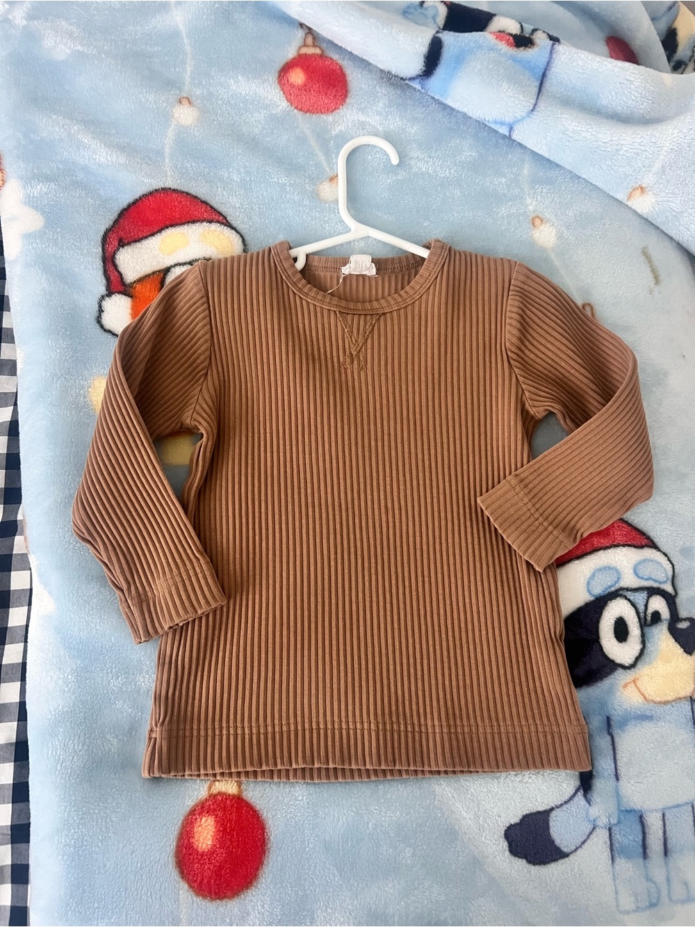 Jamie Kay Ribbed Long Sleeve Tee in Brown